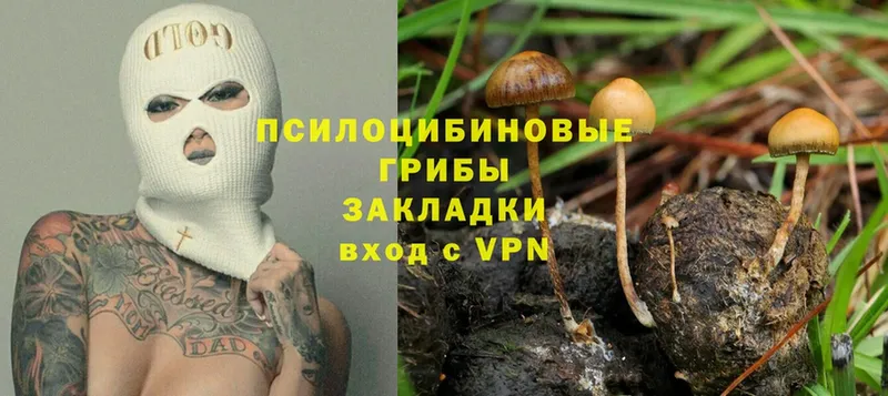 купить закладку  маркетплейс как зайти  Галлюциногенные грибы Magic Shrooms  Аргун 